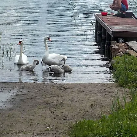 Mazury