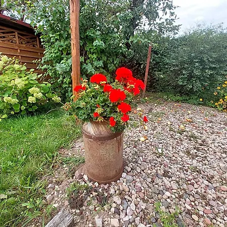 Mazury Giżycko